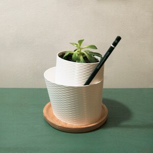 Planter 001