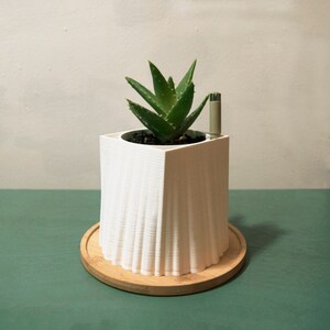 May include: A white, square-shaped planter with a textured, vertical-line design, holding a green aloe vera plant. The planter sits on a round, wooden coaster. A small, silver-colored object is next to the plant.