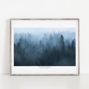 The Lost Woods - 18x12 Landscape Print