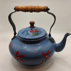 Blue Painted Red Flower Metal Teapot Kettle Vintage