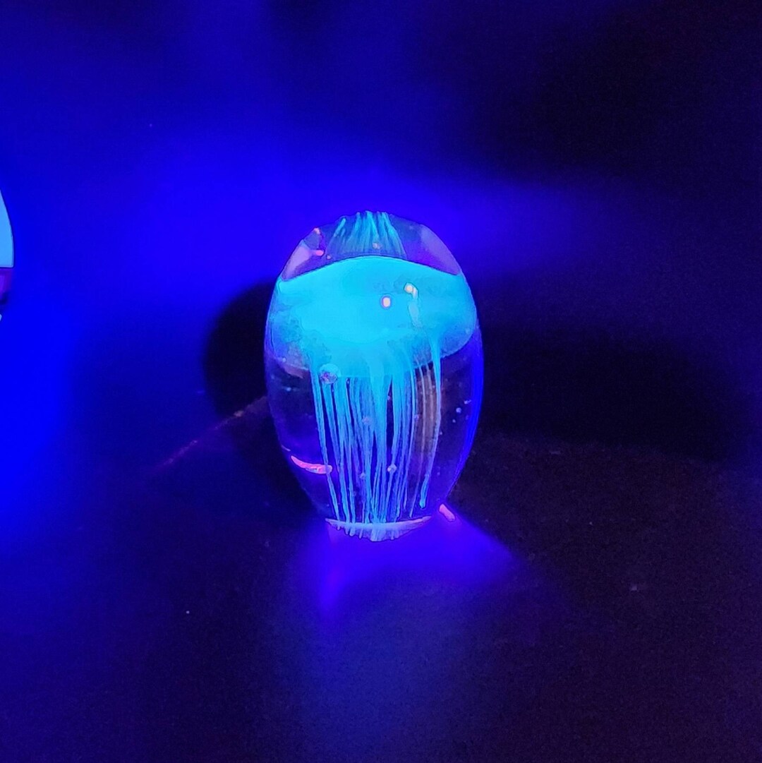 Hand Blown Glass Clear Jellyfish Paperweight Uranium - Etsy