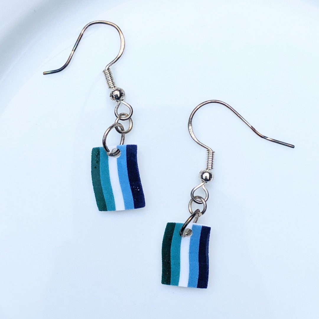 Tiny Gay Pride Flag Drop Earrings, Pride Earrings, Gay, MLM, LGBTQ