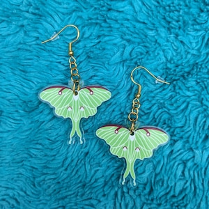 Luna Moth Drop Earrings, Luna Moth Jewelry, Insect Earrings, Lunar Moth Earrings, Cottagecore, Fairycore, Witchy