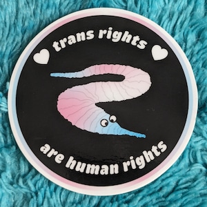 Puede incluir: Una pegatina redonda con fondo negro y texto blanco que dice "trans rights are human rights". La pegatina presenta un gusano rosa y azul con ojos saltones. Dos corazones blancos están a cada lado del texto.