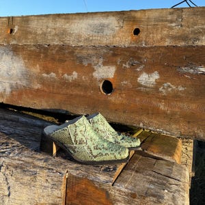 May include: A pair of green snakeskin-patterned mules with a block heel. The shoes are set on a weathered wooden surface against a clear blue sky. The mules have a pointed toe and a low-cut vamp.