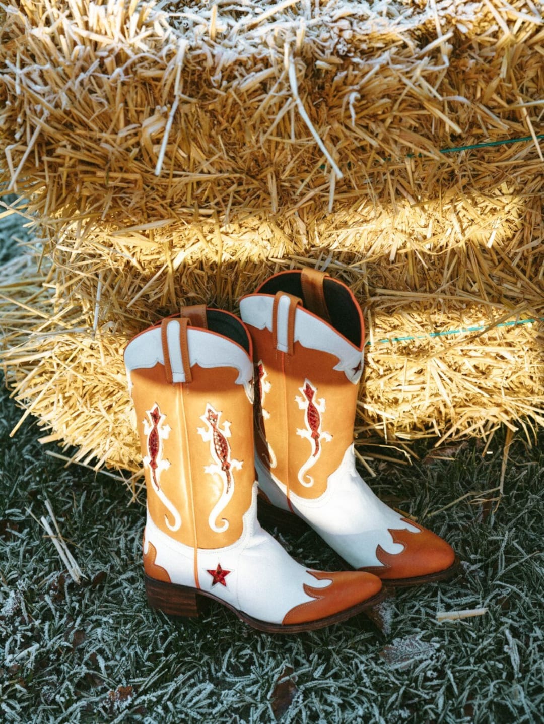 Salamander Cowboy Boots - Etsy België
