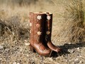 Flower Boots Vintage Brown product logo