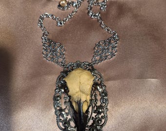 Crow Skull Resin Replica Pendant on Silver Filigree Victorian Embellishment, Taxidermy, Raven, Gothic, Witch.....