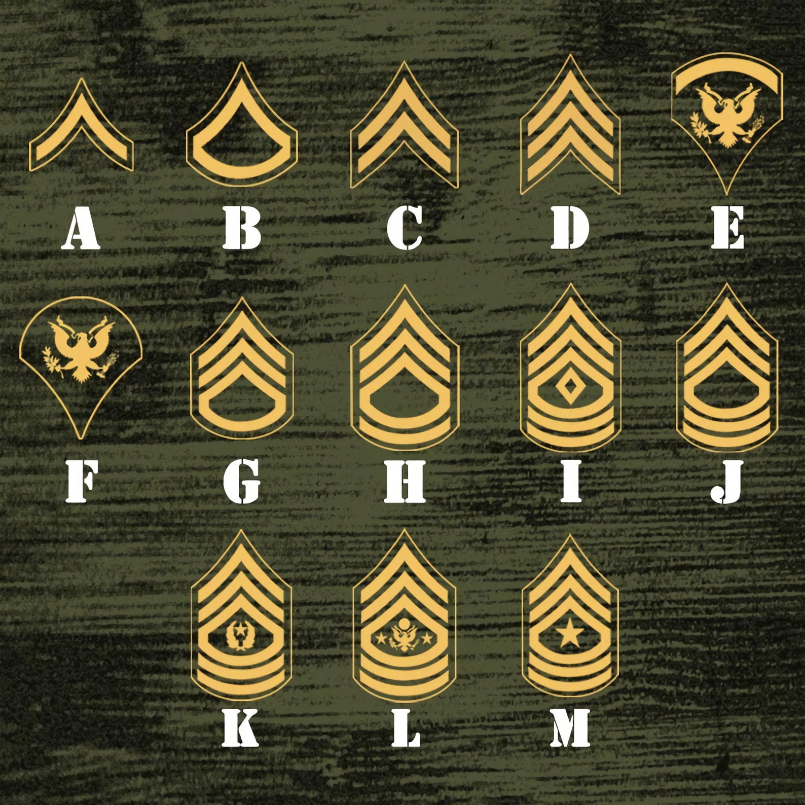 Personalized US Army Metal Sign Army Insignia Rank Sign Etsy