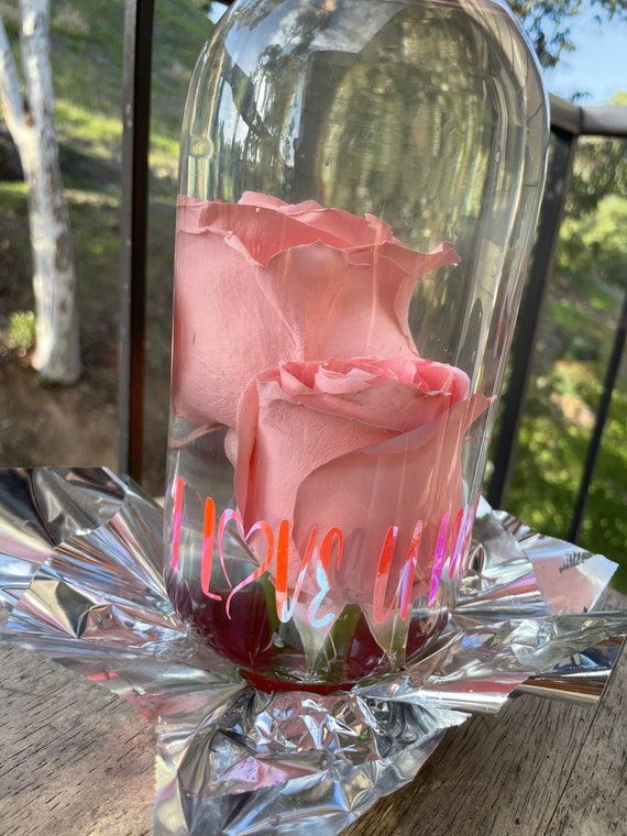 Real Preserved Rose Globe Double Roses Etsy