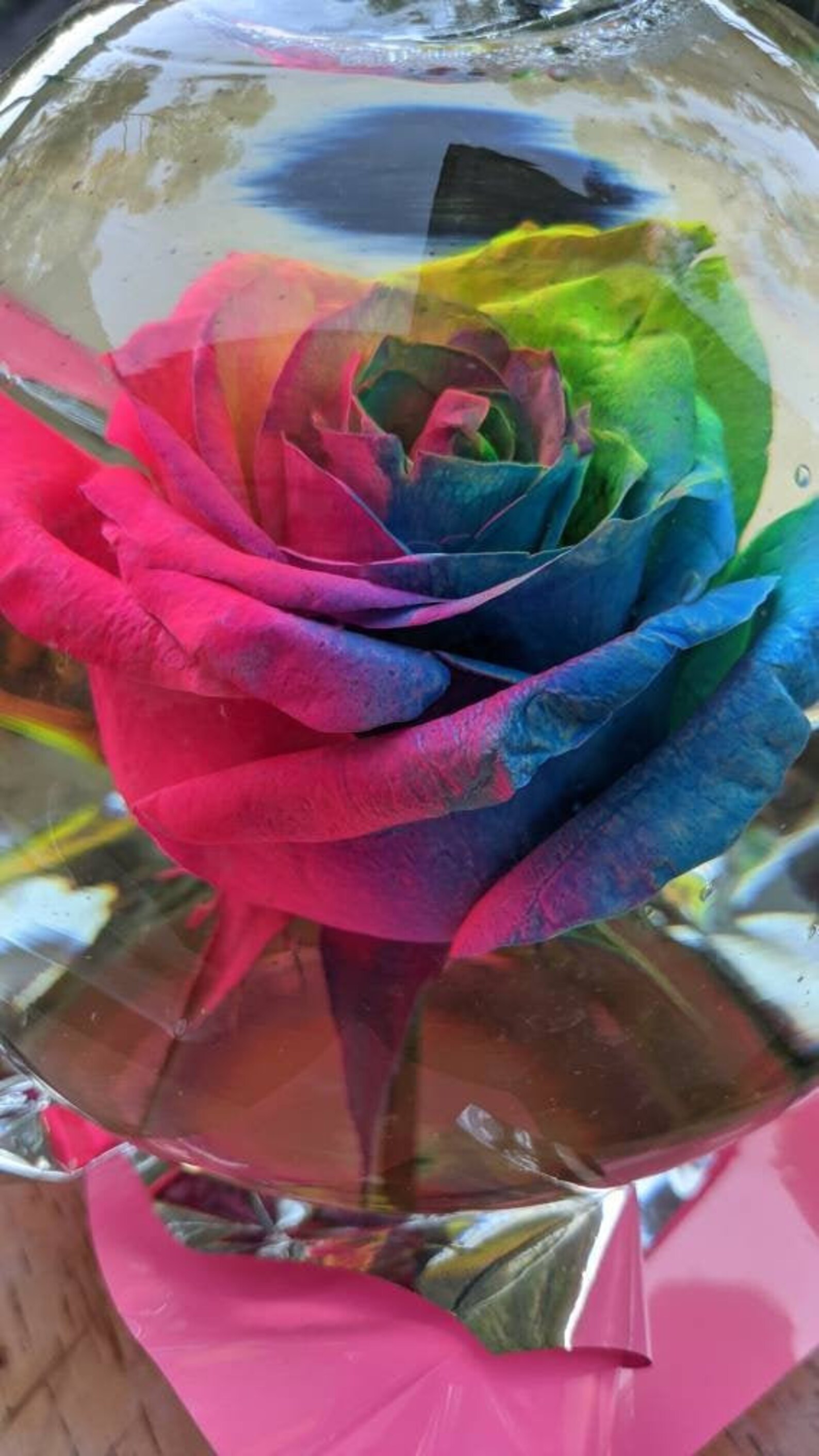 REAL Rose Globe Etsy