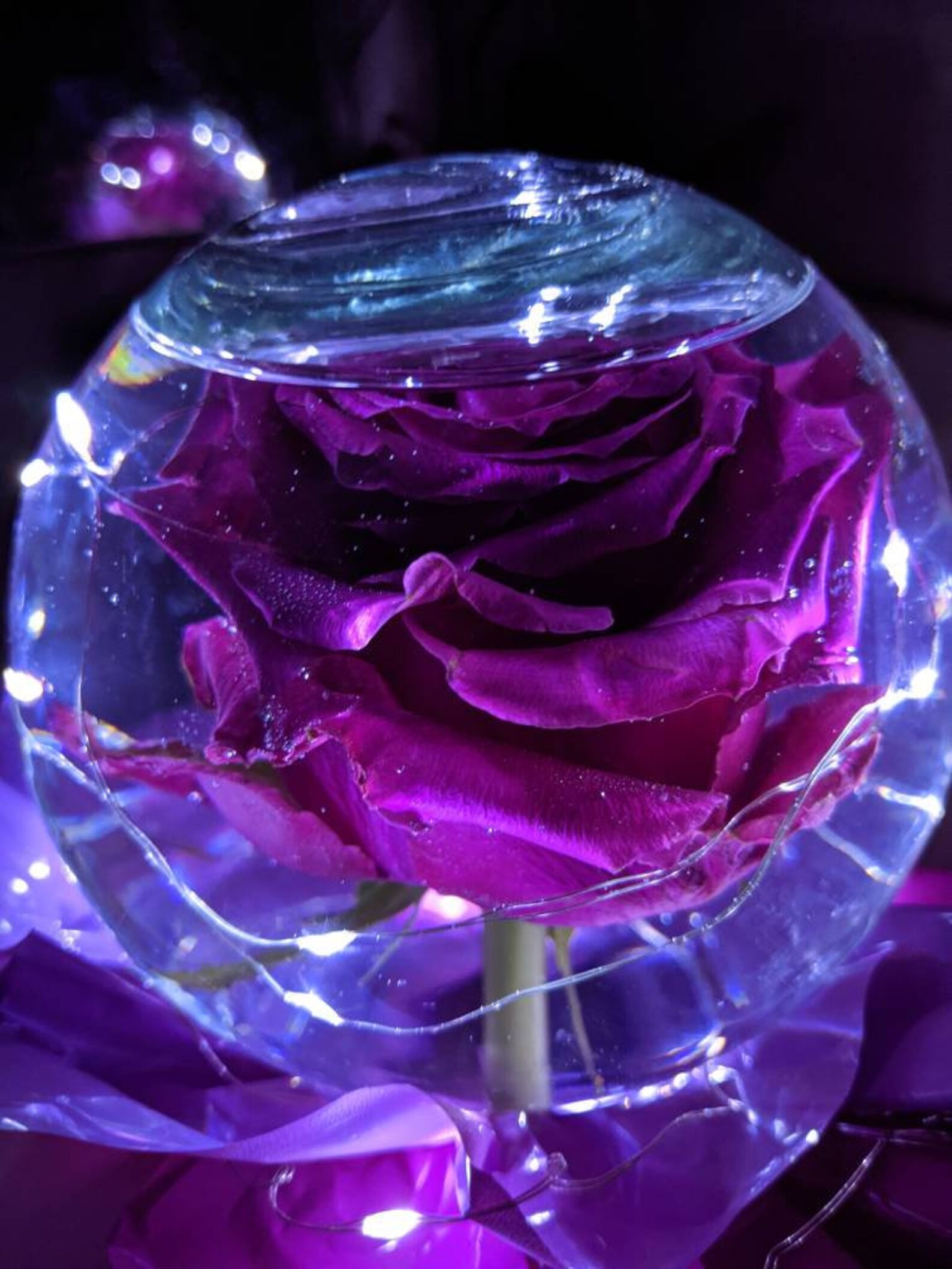 REAL Rose Globe | Etsy