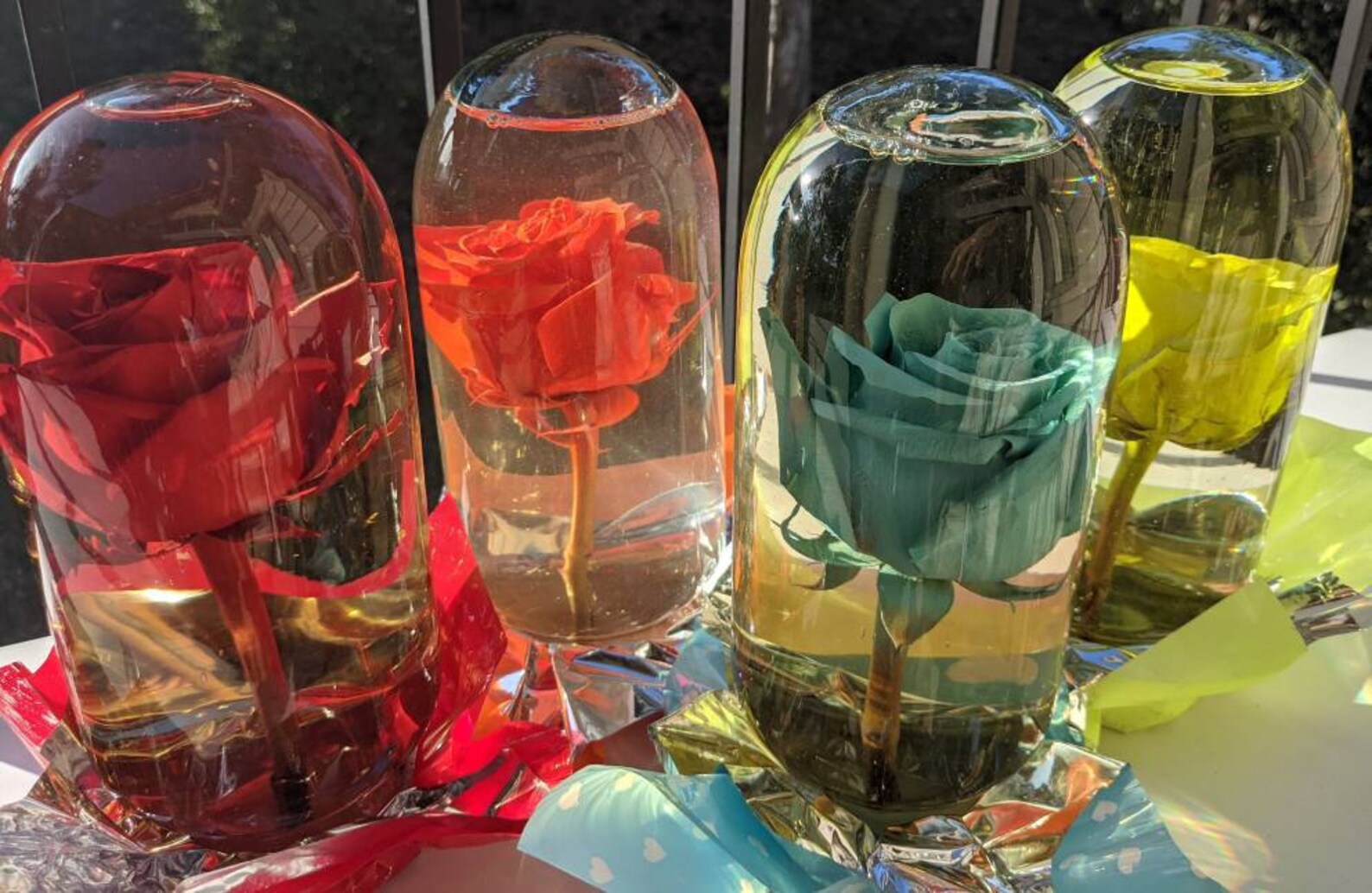 Real Preserved Rose Globe Tall Glass Etsy