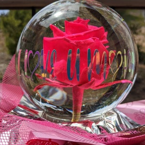 Real Rose Glass Globe Colorful Home Office Holiday Decor