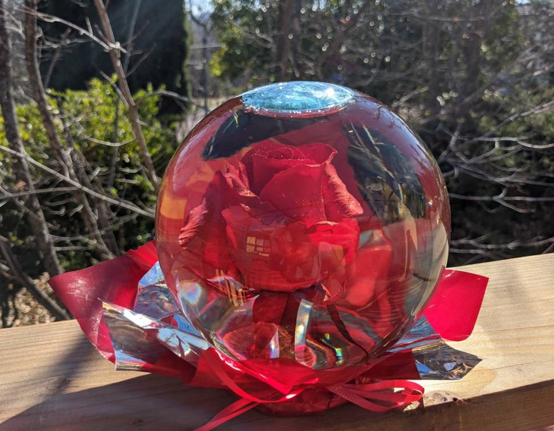 Real Rose Globe Etsy