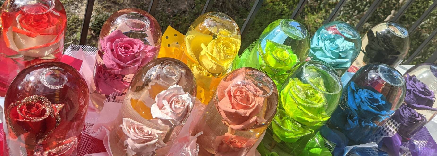 Rose Globe Amazon at Ian Ross blog