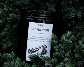 Cinnamon Candle / Autumn candles/ Fall candle/ cozy winter candle / jar candle/ Christmas candle