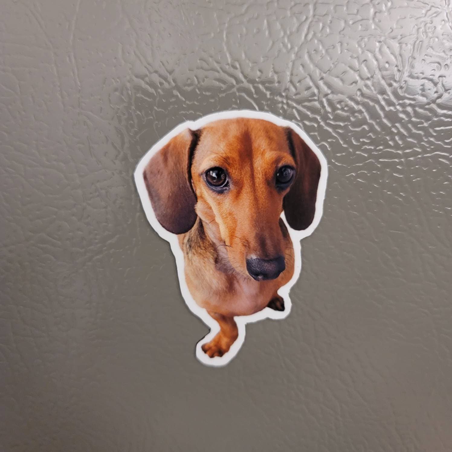HOUND DOG SOFT NOVELTY  with MAGNETS WITH IN PAWS AND TUMMY! FRIDGE MAGNET 