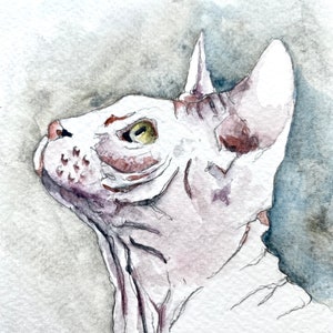 Peut inclure: Peinture à l'aquarelle d'un chat Sphynx, de profil, regardant vers le haut. Le chat est rendu dans des tons doux de blanc, rose et marron. L'arrière-plan est un mélange de gris et de bleu, créant une atmosphère sereine.