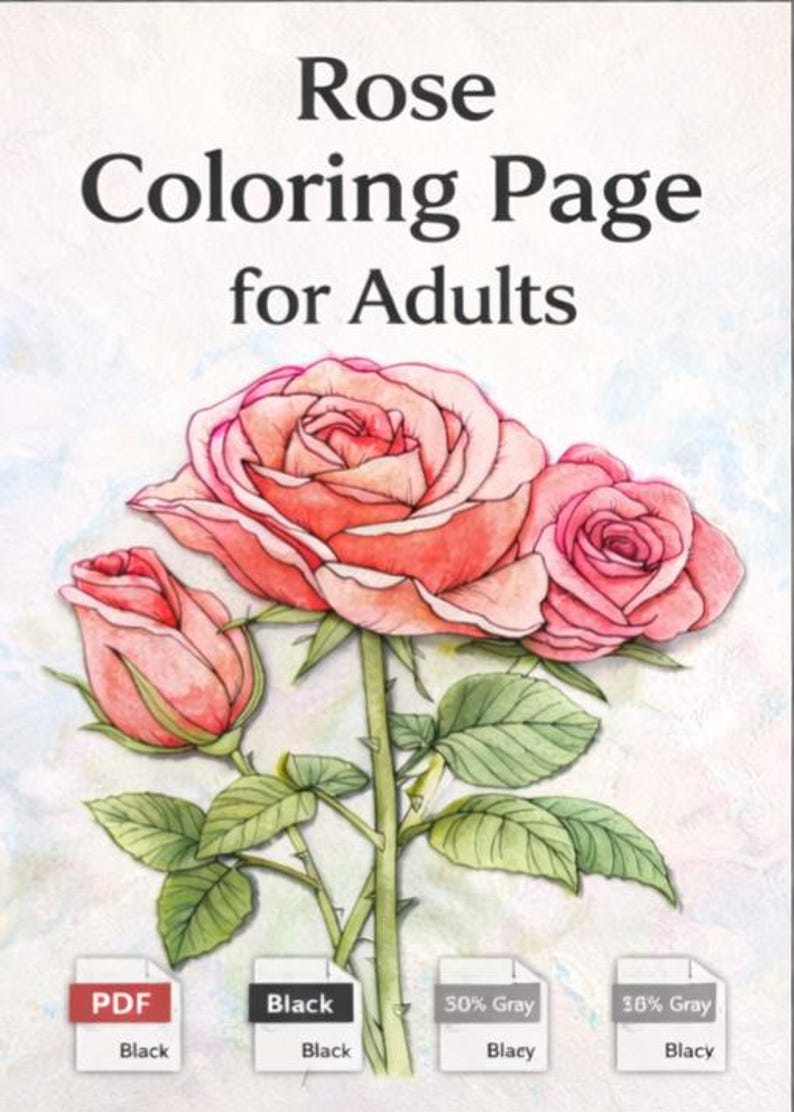 Rose Coloring Page for Adults | Printable Floral Line Art PDF ...