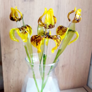 Lampwork glas irisbloem: tijgergeel lentedecor (12 inch)