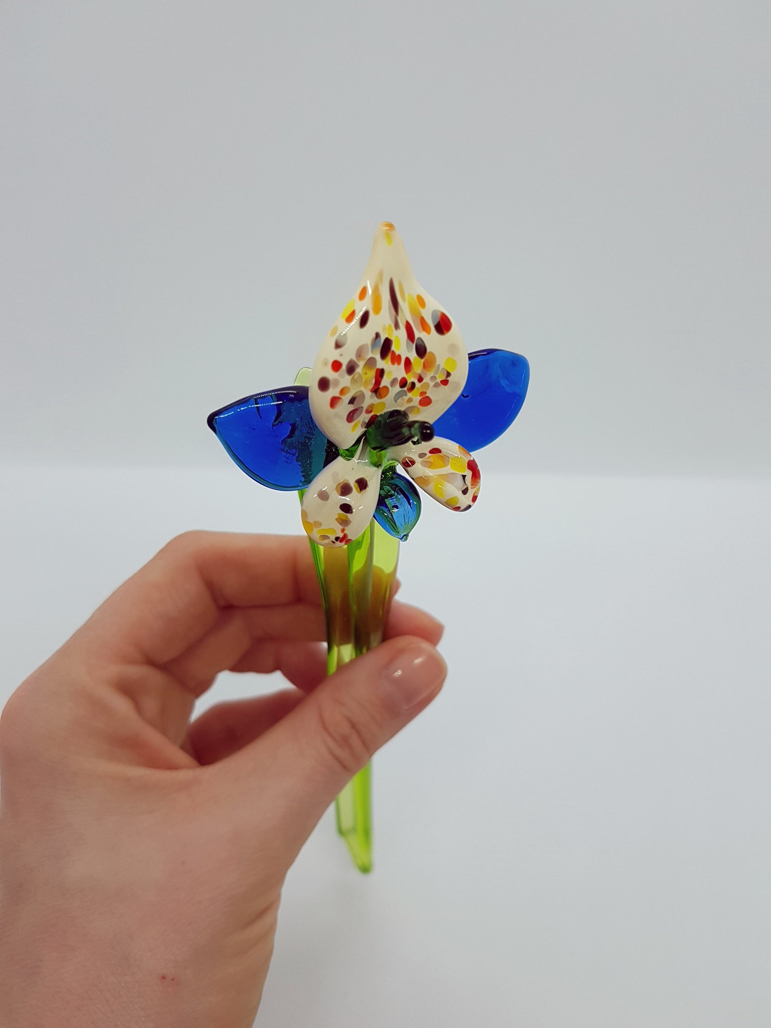 Colorful Miltonia Orchid Flower Hand Blown Glass Orchid Etsy