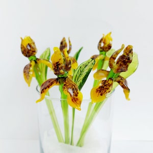 Figura de flor de iris tigre de vidrio soplado a mano - 8 pulgadas