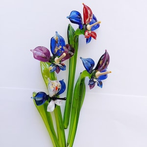 Mundgeblasene Glas Miltonia Orchidee Figur: Frühlingsblumendekor