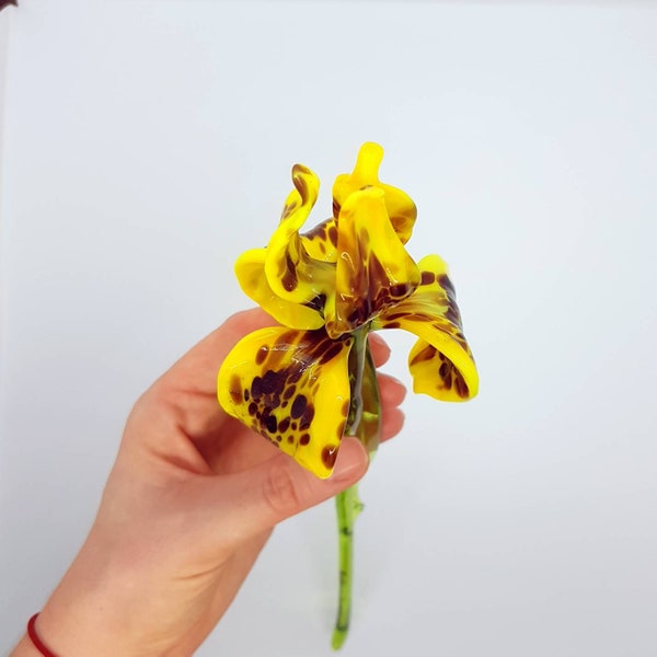 Yellow Tiger Glass Iris Flower, Lampwork Iris Flower, Hand Blown Spring Flower