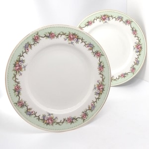 Paragon bone china cake plates / Paragon bone china / cake plates / salad plates / Sandwich plates / Afternoon tea ideas / Fine dining