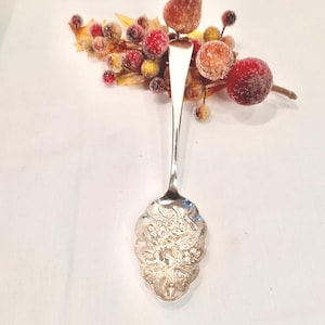 Edwardian berry spoon / Silver plate berry spoon / Downton Abbey Style / Berry spoons / Berry servers / Berry serving spoon / Fine dining