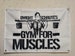 Dwight Schrute's Gym for Muscles flag banner any size  tapestry wall decoration indoor and outdoor 100D polyester Dwight Schrute funny gift 