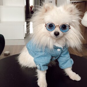 Blue Jean Jacket || Warm Winter Coat for Dogs and Cats, Stylish and Comfortable Pet Clothes