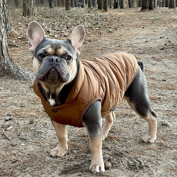 Pufferjacke für Hunde | Weste | Jacken für den Winter, warmer Mantel, kleine Designerkleidung, süße Welpenkleidung für Jungen und Mädchen, mittelgroße Verpackung