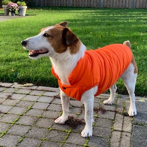 Dog Puffer Jacket Vest || Jackets for Winter, Warm Coat, Designer Small Clothes, Cute Puppy Clothing for Boy Girl, Medium Large Packing