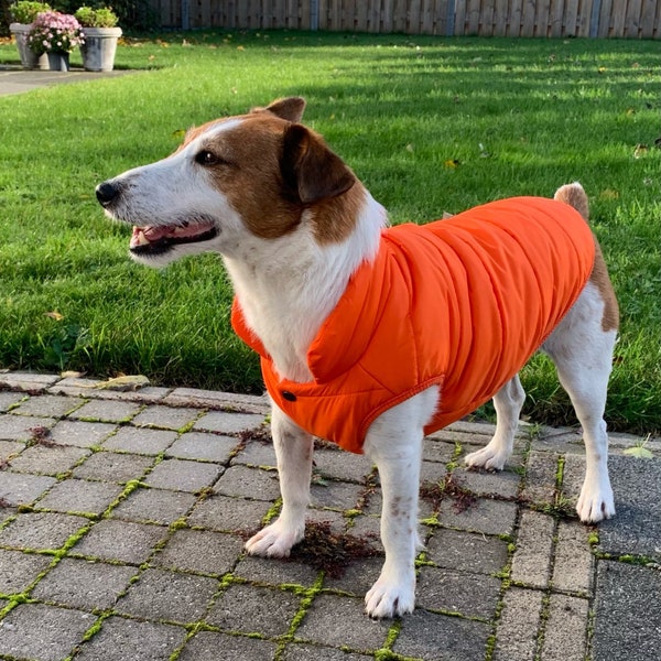 Gilet / giacche imbottite per cani per l'inverno, cappotto caldo, piccoli vestiti firmati, vestiti carini per cuccioli per ragazzo e ragazza, imballaggio medio grande