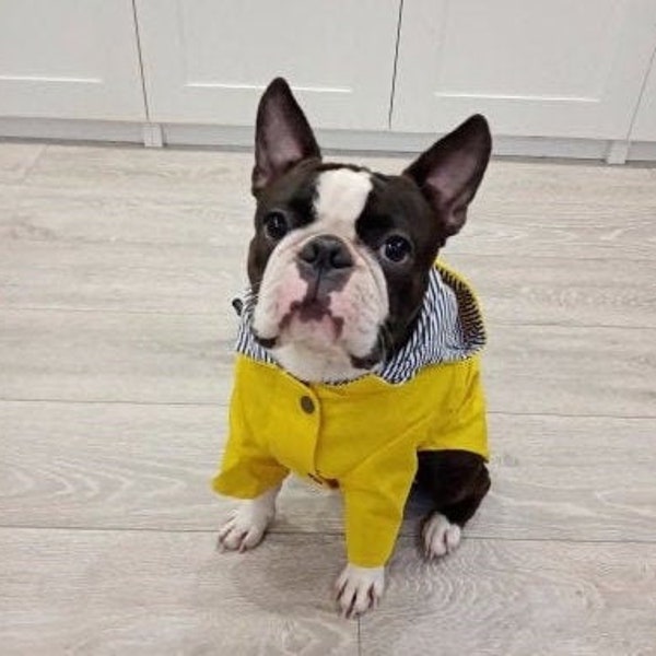 Imperméable jaune | Vêtements pour chien coupe-vent de pluie, XXL, XL, Grands chiens, Manteau imperméable, Imperméable à l’eau Chiot, Mignon Fille Garçon Pet Vêtements de printemps