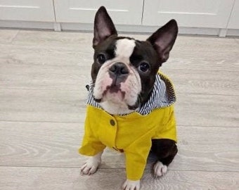 Yellow Raincoat | Rain Windbreaker Dog Clothing, XXL, XL, Large Dogs, Waterproof Coat, Rainwear Puppy, Cute Girl Boy Pet Spring Clothes