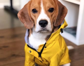 Chubasquero amarillo / Chaqueta impermeable con capucha para perros