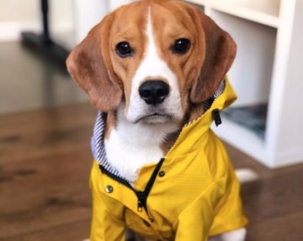 Gelber Regenmantel | Regen-Windbreaker-Hundebekleidung, XXL, XL, große Hunde, wasserdichter Mantel, Regenbekleidung für Welpen, süße Mädchen-Jungen-Haustier-Frühlingskleidung