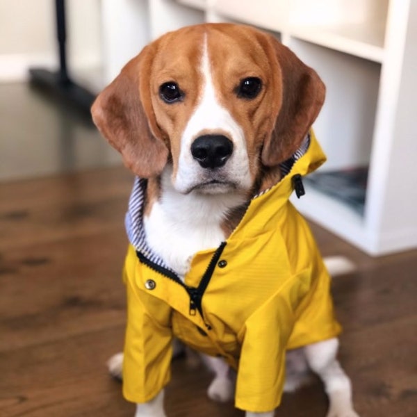 Gelber Regenmantel | Regen-Windbreaker-Hundebekleidung, XXL, XL, große Hunde, wasserdichter Mantel, Regenbekleidung für Welpen, süße Mädchen-Jungen-Haustier-Frühlingskleidung