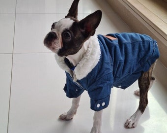 dog jeans jacket