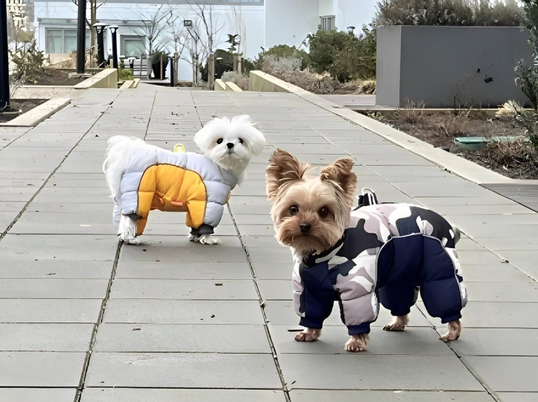 Puffer Jacket Dog Winter Clothing, Warm Thick Onesie Small, Medium