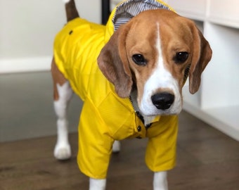 Chubasquero amarillo / Chaqueta impermeable con capucha para perros