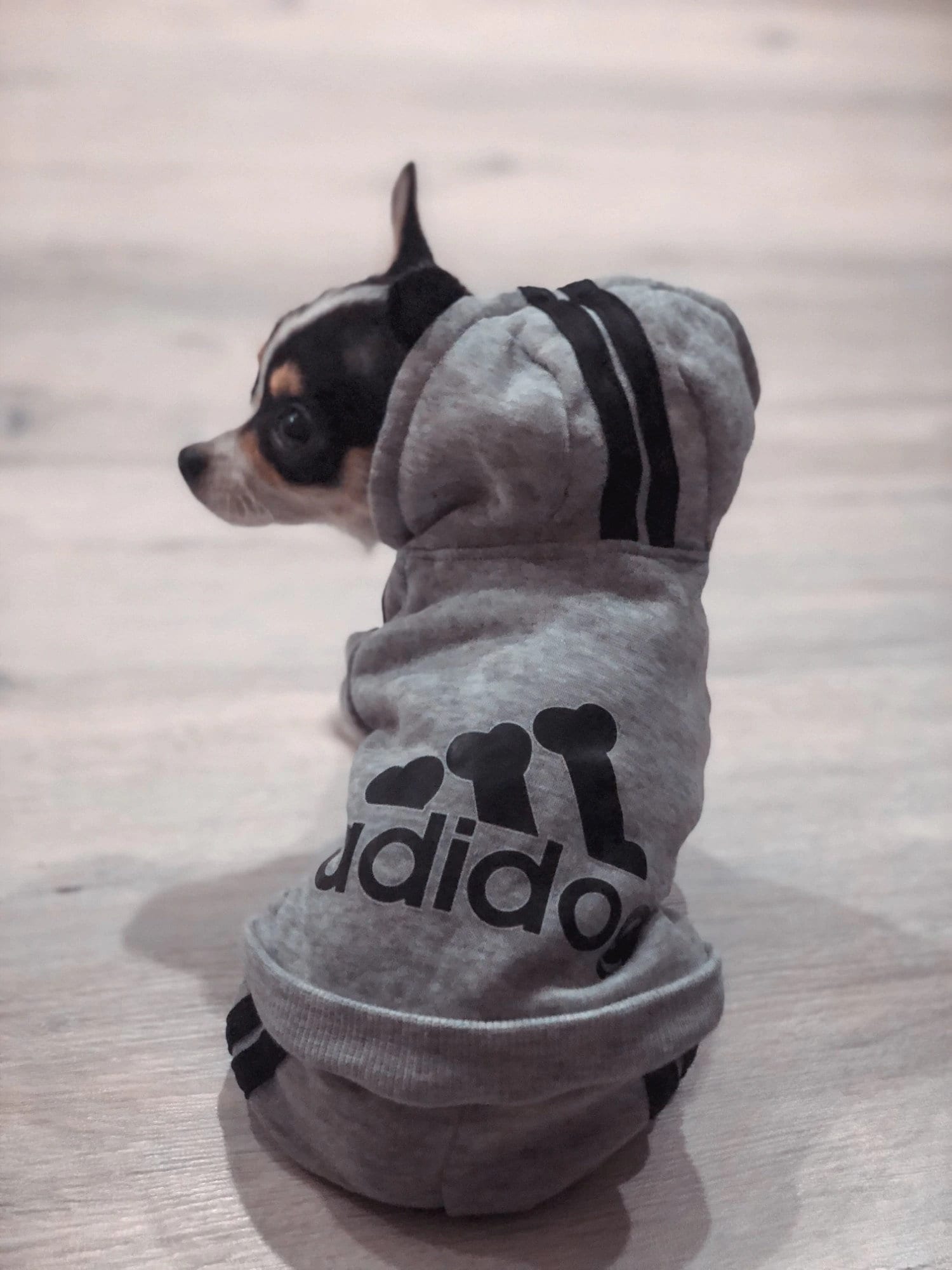 PUPTECK Hunde-Weihnachtspullover – Karo-Muster, ärmellos, Für Kleine Bis Große Hunde, Wärmend & Mit Leinen-Loch