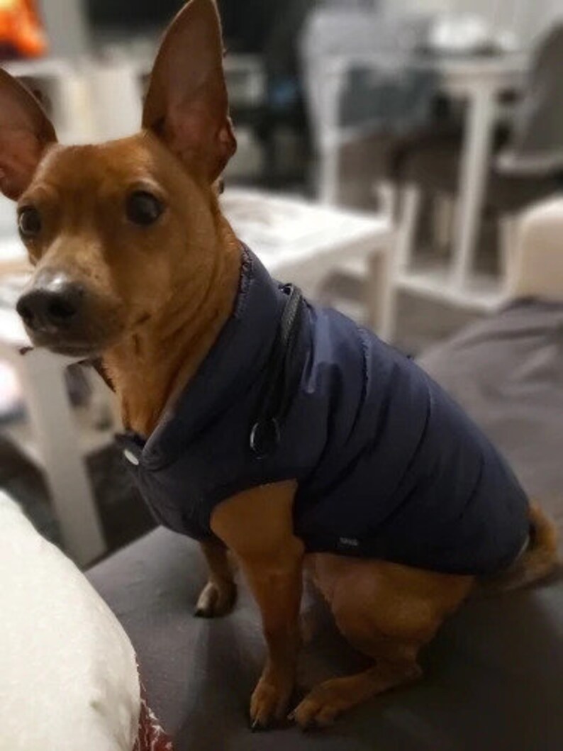 Dog Puffer Jacket Vest Jackets for Winter Warm Coat Etsy