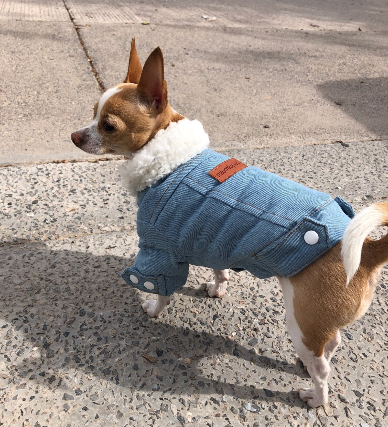 Dog Jean Jacket Jackets for Winter Warm Coat Designer Etsy UK