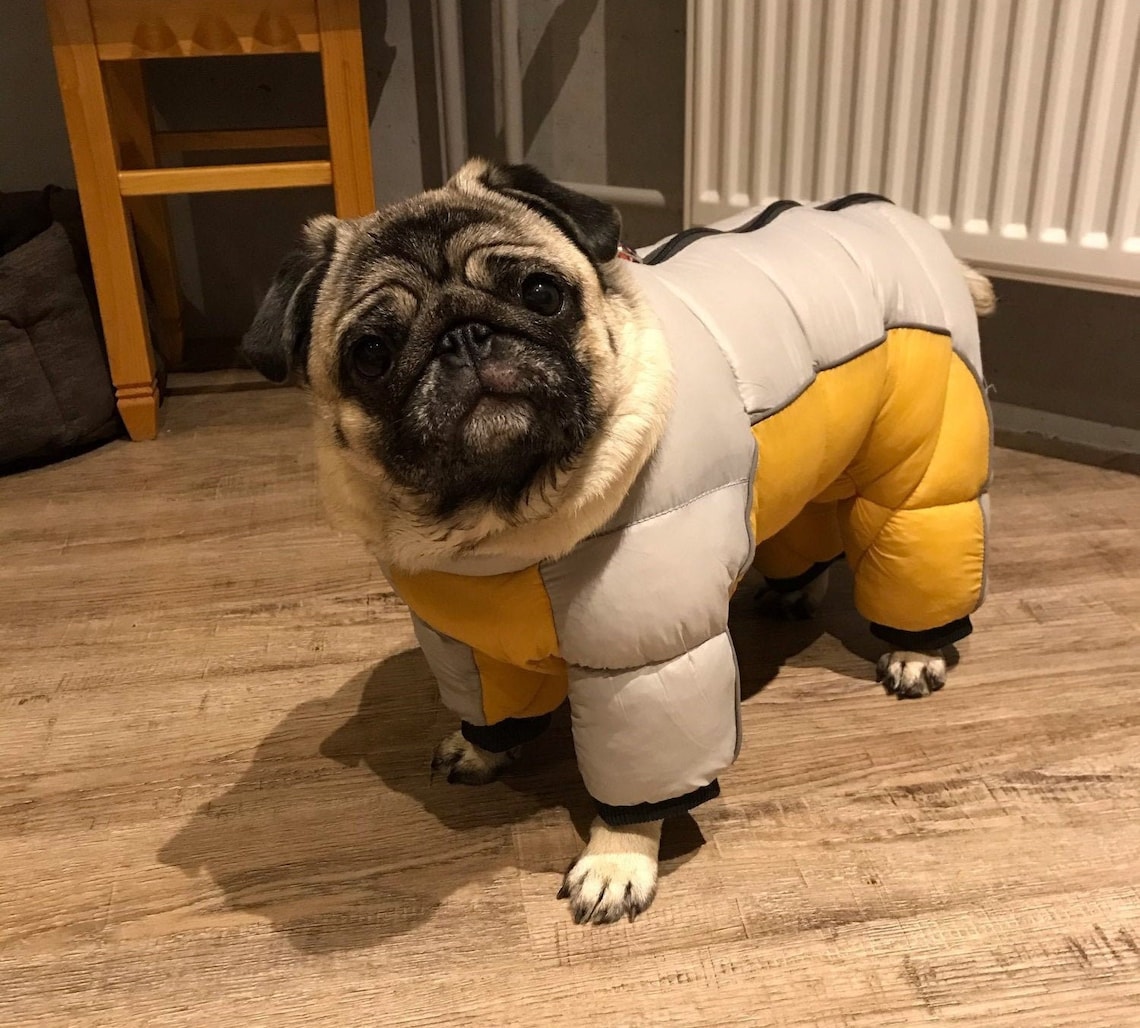 Puffer Jacket Dog Winter Clothing Warm Thick Onesie Small Etsy