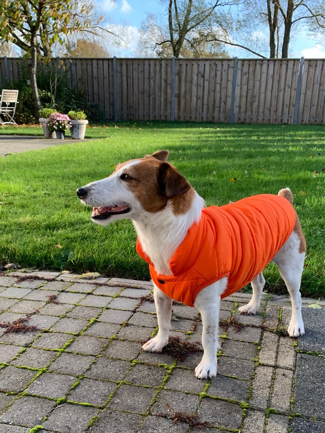 Dog Puffer Jacket Vest Jackets for Winter, Warm Coat, Designer Small Clothes, Cute Puppy