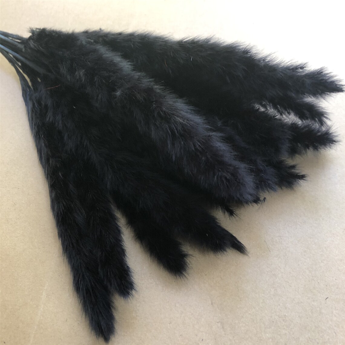 High quality reeds dried flowers for interior decoration Etsy